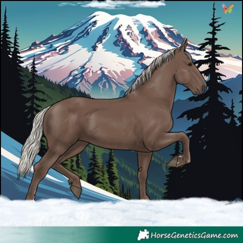 Horse Color:Silver Black