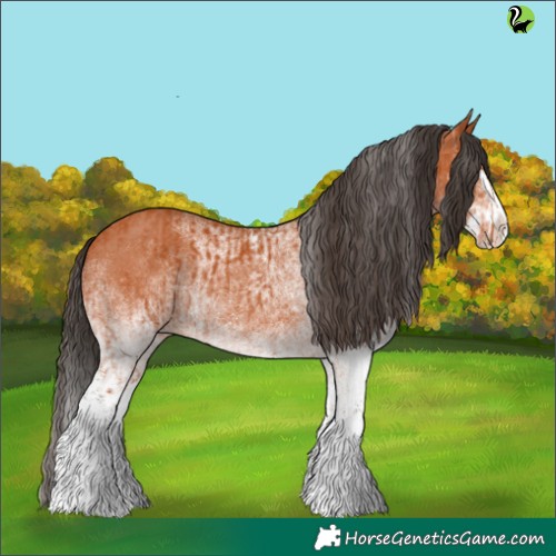 Horse Color:White Spotted Bay Splash  and White Spotted Bay Splash 