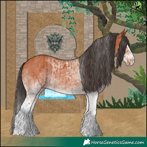 Horse Color:White Spotted Bay Splash  and White Spotted Bay Splash 