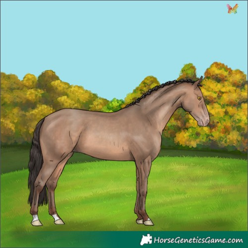Horse Color:Sable Champagne 