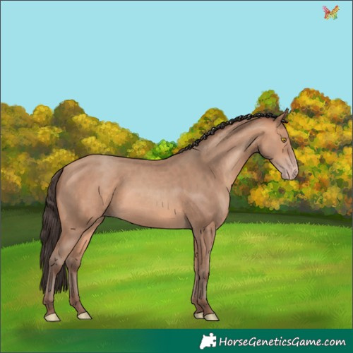 Horse Color:Amber Champagne 