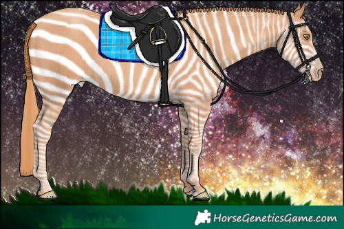 Horse Color:Gold Champagne Rabicano 