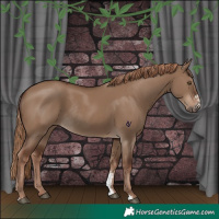 Horse Color:Liver Red Dun Sabino Rabicano