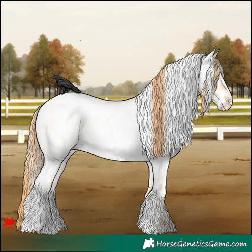 Horse Color:White Spotted Buckskin Roan Pearl Dun Appaloosa 