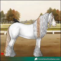 Horse Color:White Spotted Buckskin Roan Pearl Dun Leopard 