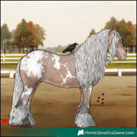 Horse Color:White Spotted Silver Brown Appaloosa 