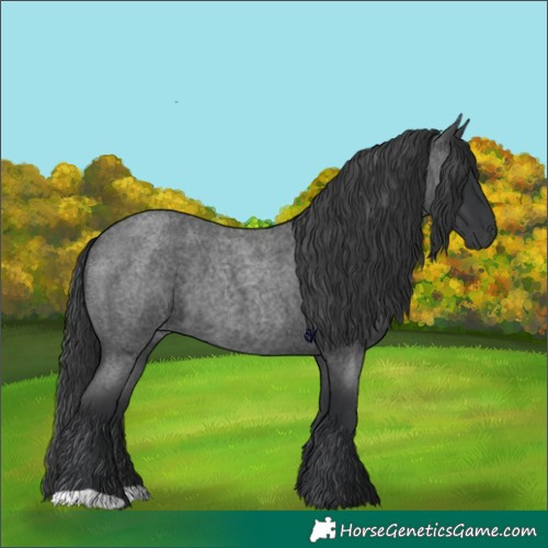 Horse Color:Blue Roan 