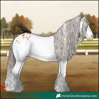 Horse Color:White Spotted Bay Splash Blanket 
