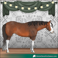 Horse Color:Bay Splash 