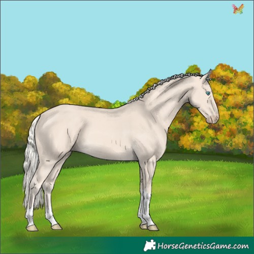 Horse Color:Cremello Tobiano