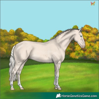 Horse Color:Cremello Tobiano 