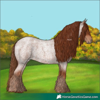 Horse Color:Red Roan 