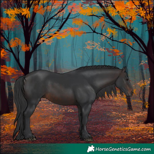 Horse Color:Brown 