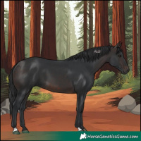 Horse Color:Brown 