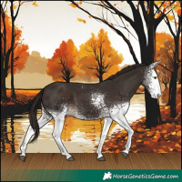 Horse Color:White Spotted Liver Chestnut 