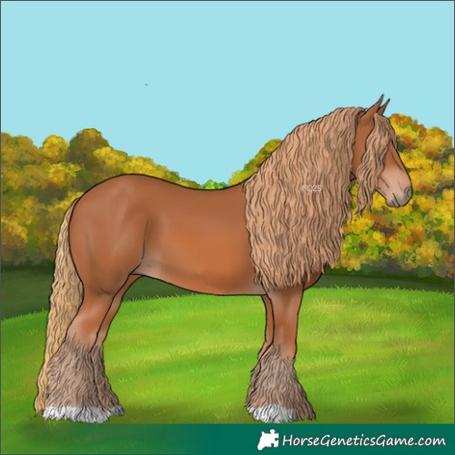 Horse Color:Chestnut 