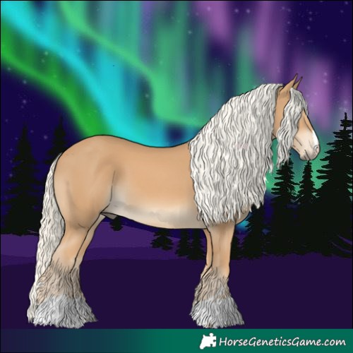 Horse Color:Chestnut Mushroom