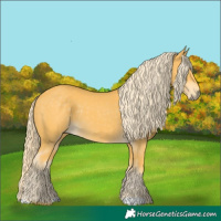 Horse Color:Palomino 