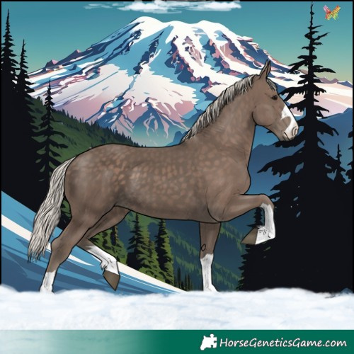 Horse Color:Silver Black 
