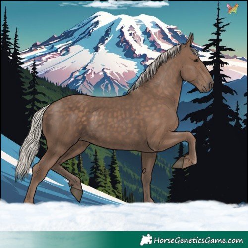 Horse Color:Silver Black 