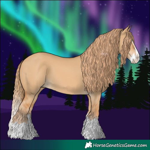 Horse Color:Red Dun Splash 