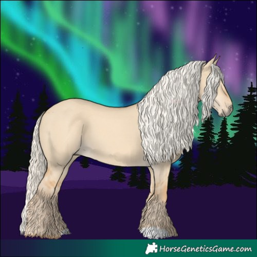 Horse Color:Red Dun Mushroom 