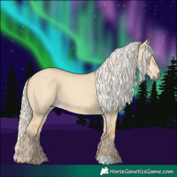 Horse Color:Red Dun Mushroom 