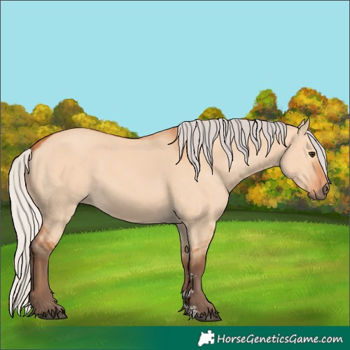 Horse Color:Silver Bay Dun 