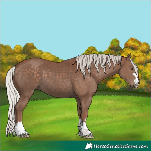 Horse Color:Silver Black 