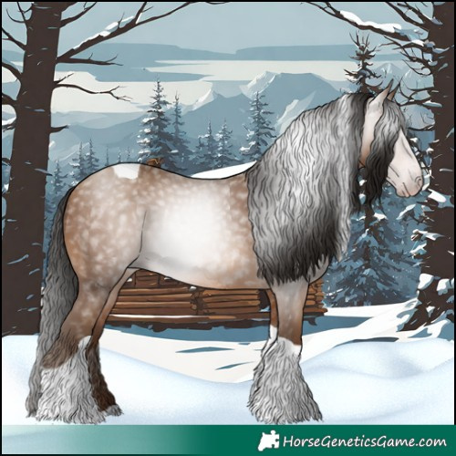 Horse Color:Gray Amber Champagne Tobiano 