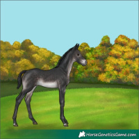 Horse Color:Platinum Brown