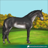 Horse Color:Platinum Brown 