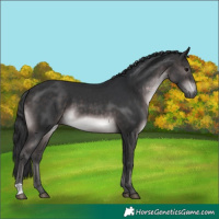 Horse Color:Platinum Brown