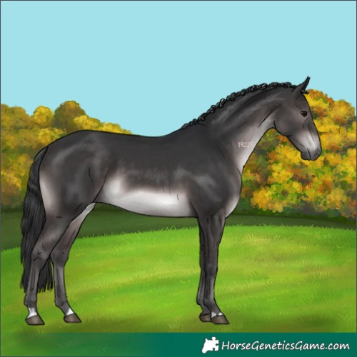 Horse Color:Platinum Brown 