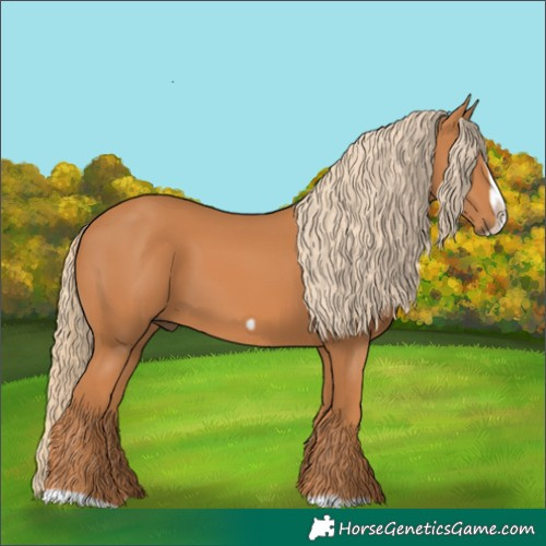 Horse Color:Chestnut Splash Frame 