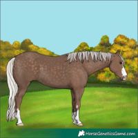 Horse Color:Silver Black 