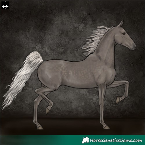 Horse Color:Silver Black 