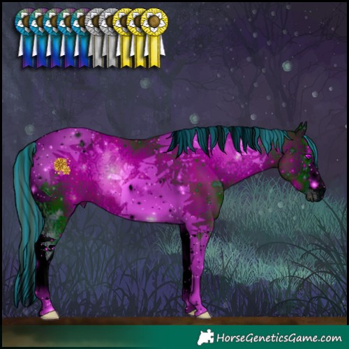 Horse Color:ERROR: UNKNOWN ANOMALY