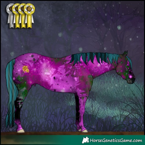 Horse Color:ERROR: UNKNOWN ANOMALY