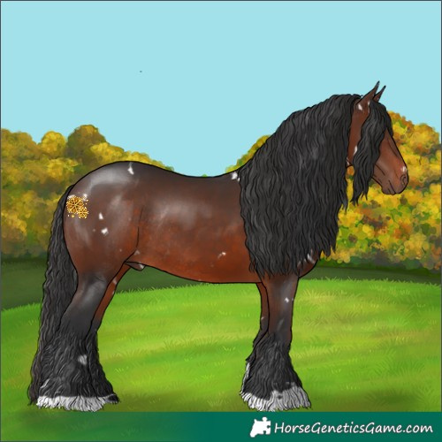 Horse Color:White Spotted Brown Rabicano 