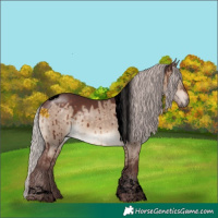 Horse Color:Void Chocolate Silver Brown Dun Tobiano Brindle