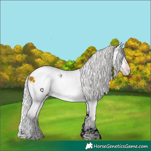 Horse Color:Void Chocolate Silver Sable Champagne Chinchilla Dun Tobiano Brindle 