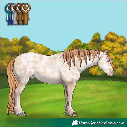 Horse Color:Chocolate Buckskin Ice Pearl 