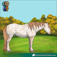 Horse Color:Chocolate Buckskin Ice Pearl 