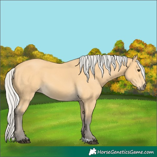 Horse Color:Silver Buckskin 