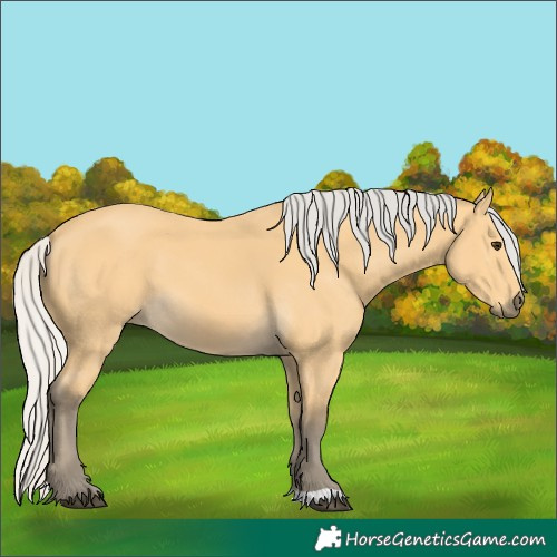 Horse Color:Silver Buckskin 