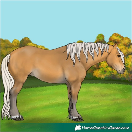Horse Color:Silver Buckskin 
