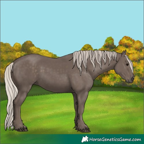 Horse Color:Silver Black 