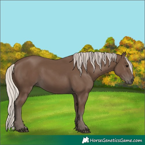 Horse Color:Silver Black 
