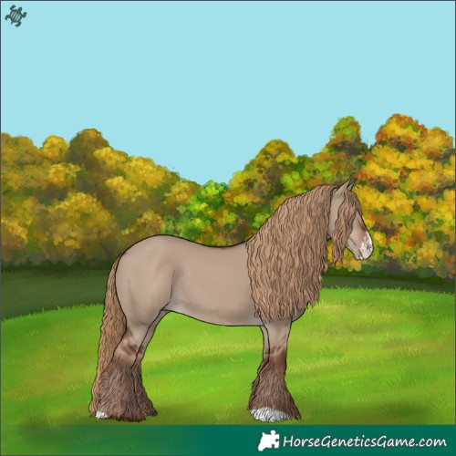 Horse Color:Liver Red Dun Sabino Rabicano 